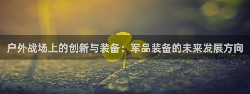 新宝gg返点模式