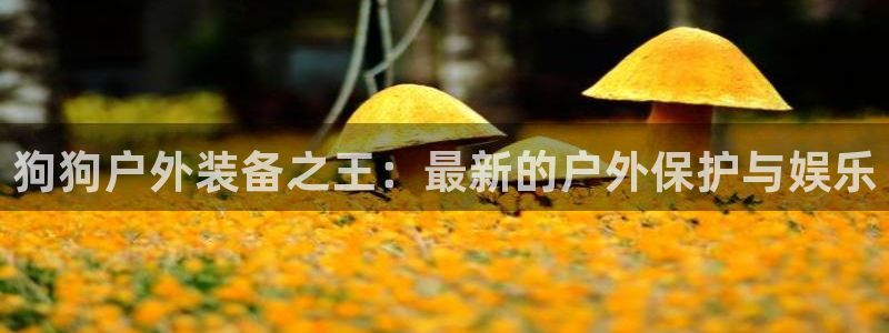 新宝gg注册q 26880