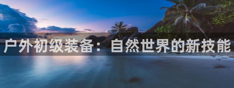 新宝gg创造奇迹平台