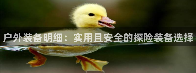 新宝gg dengludizhi