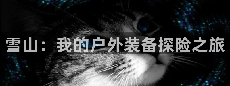 新宝gg帐号注册