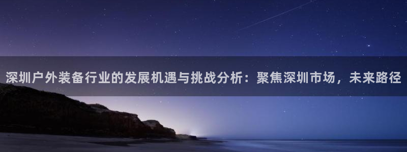 新宝gg入口网址