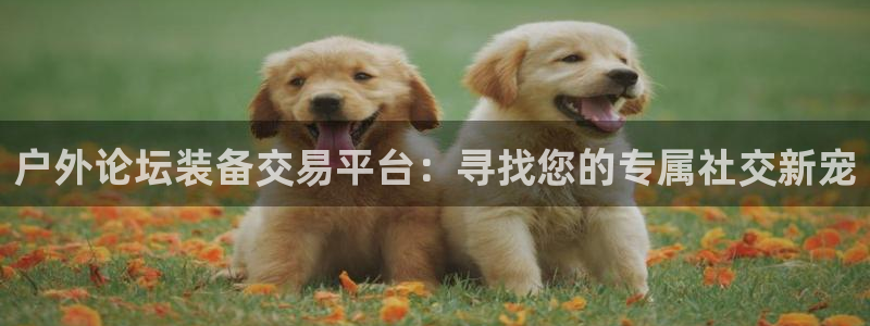 新宝gg注册网站