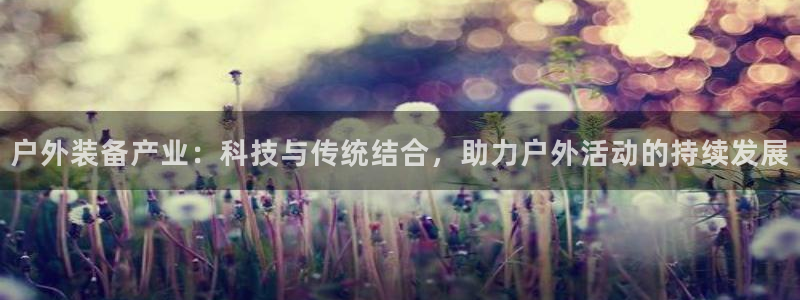 新宝gg真的能赚钱么