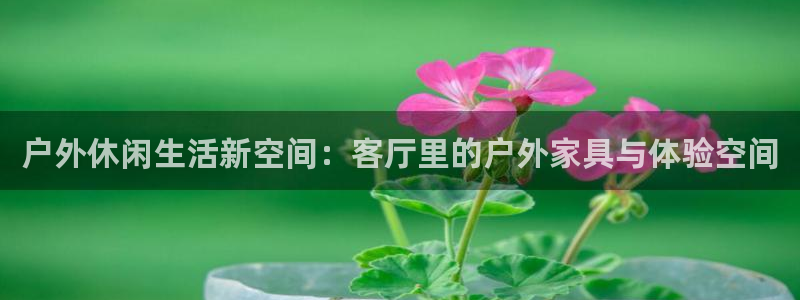 新宝六与新宝gg