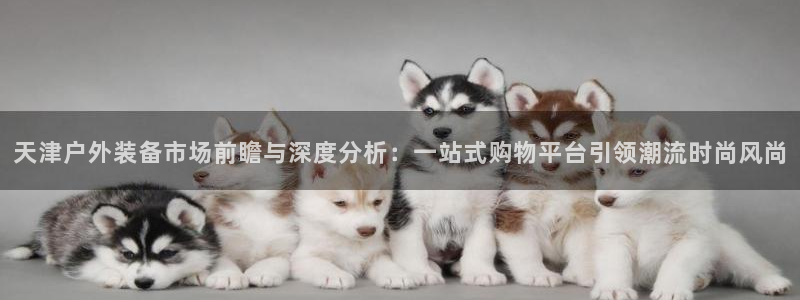 新宝gg真的能赚钱么