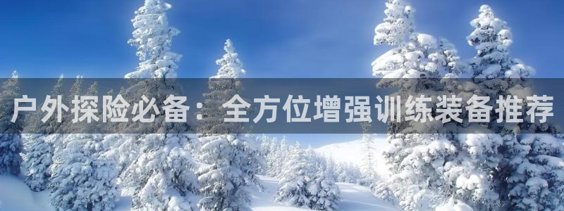 新宝gg登录网址