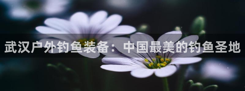 新宝gg注册 776317