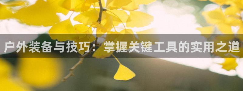 新宝gg首页平台