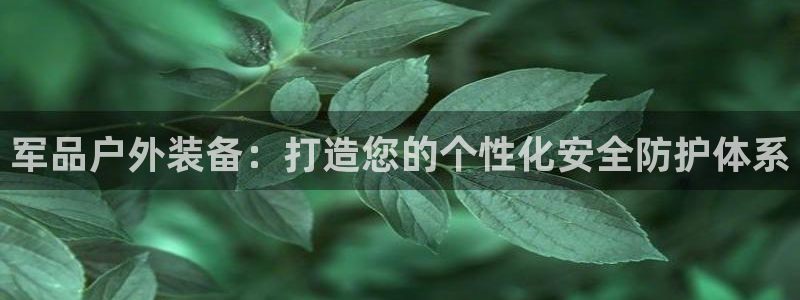 新宝gg如何登录