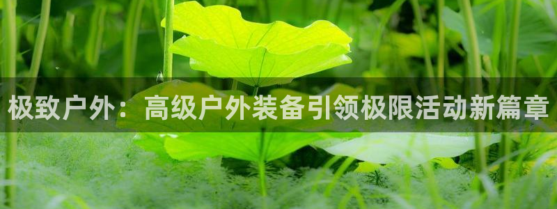 新宝gg官方下载