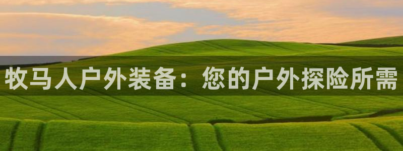 新宝gg娱乐主管q42873