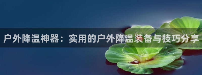 新宝gg龙虎规则