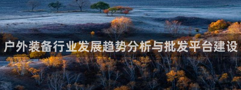 新宝六与新宝gg