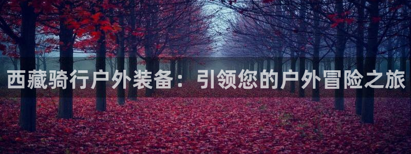 新宝新宝gg开户流程