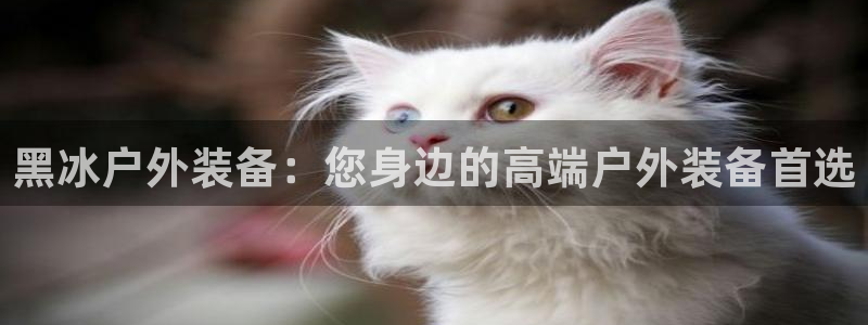 新宝GG娱乐下载