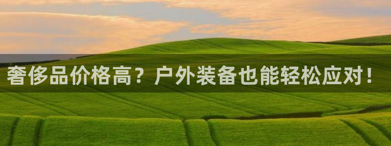 新宝gg平台下载安装